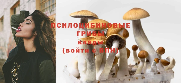 крисы Алзамай